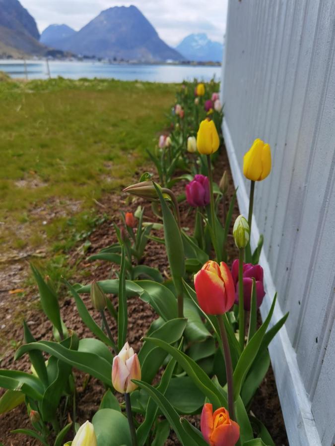 Banpim Beachside Lofoten Ramberg Dış mekan fotoğraf