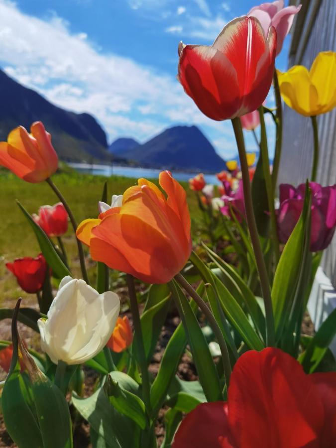 Banpim Beachside Lofoten Ramberg Dış mekan fotoğraf