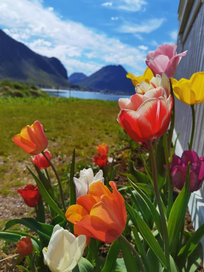 Banpim Beachside Lofoten Ramberg Dış mekan fotoğraf