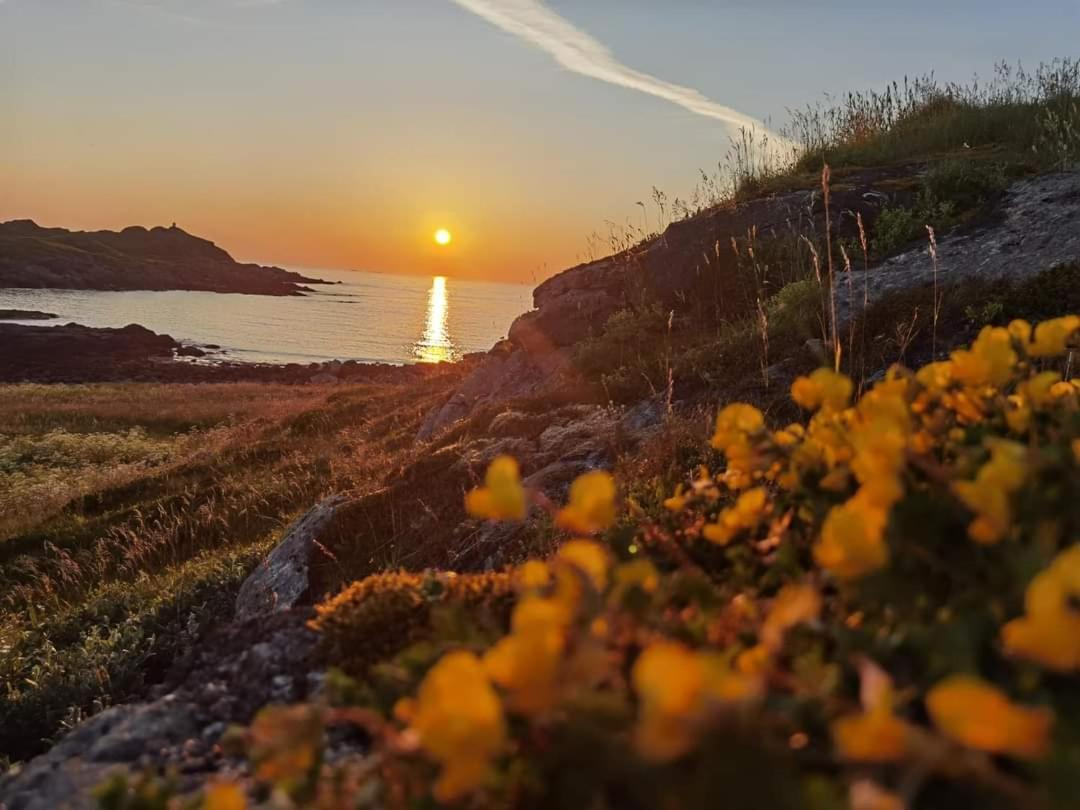 Banpim Beachside Lofoten Ramberg Dış mekan fotoğraf